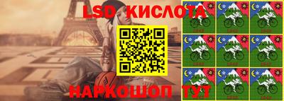 прущие грибы Владивосток
