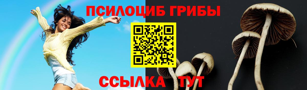 Галлюциногенные грибы мицелий  Галлюциногенные грибы Magic Shrooms  Белогорск  Вход с VPN 